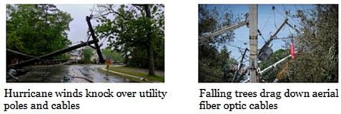 tree-utilitypole-storm-damage